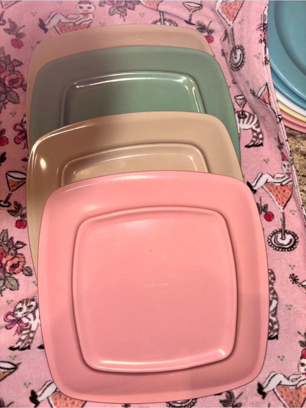 Vintage Harmony House Melamine Dinner Plates
